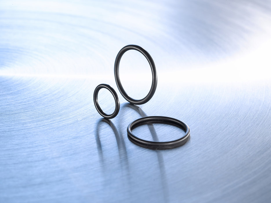 Custom-made seals for the pharmaceutical industry and biotechnology: special EPDM seal AP 306